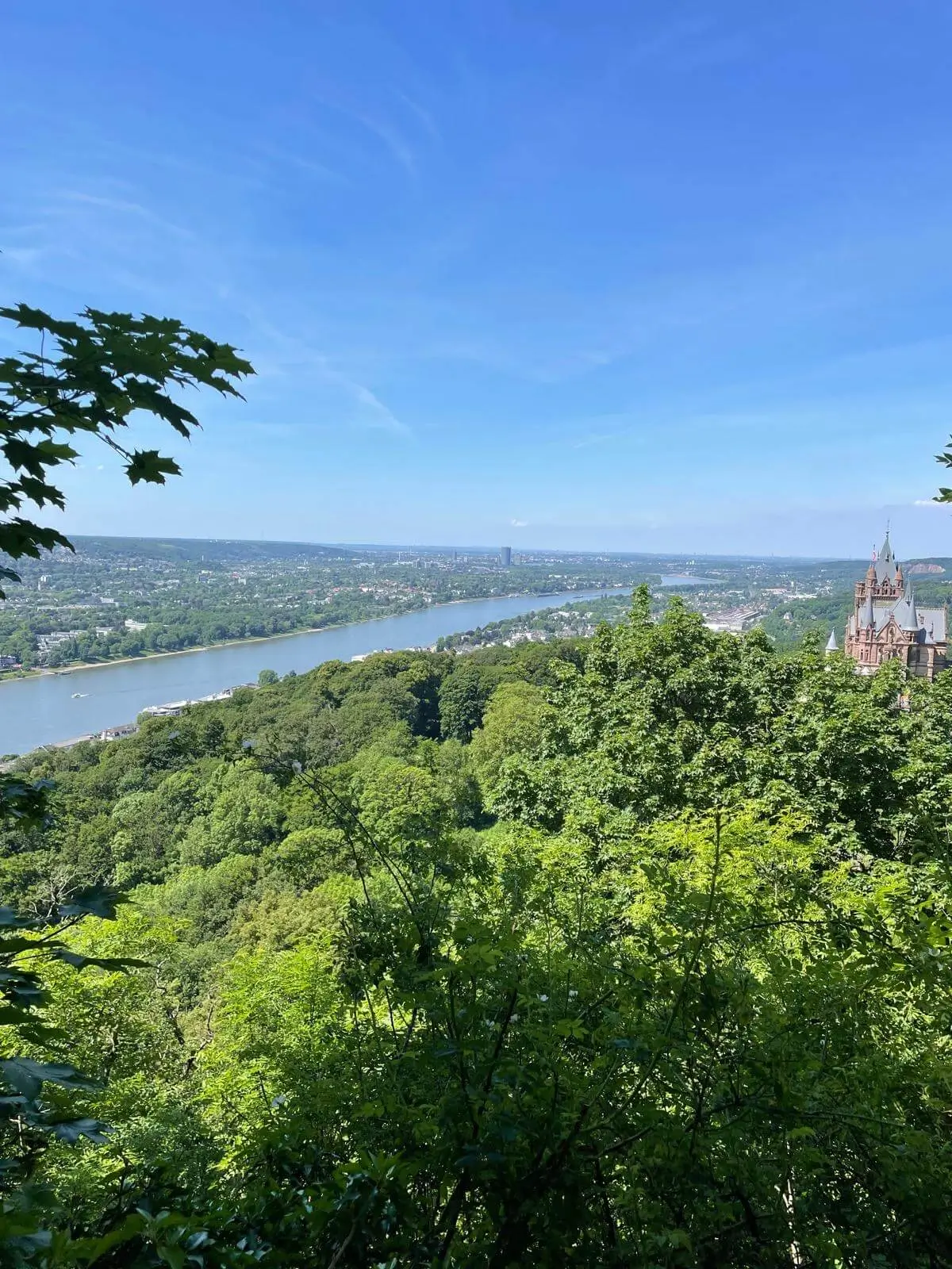 Aussicht auf Drachenburg im Siebengebirge, Königswinter, Nibelungensage